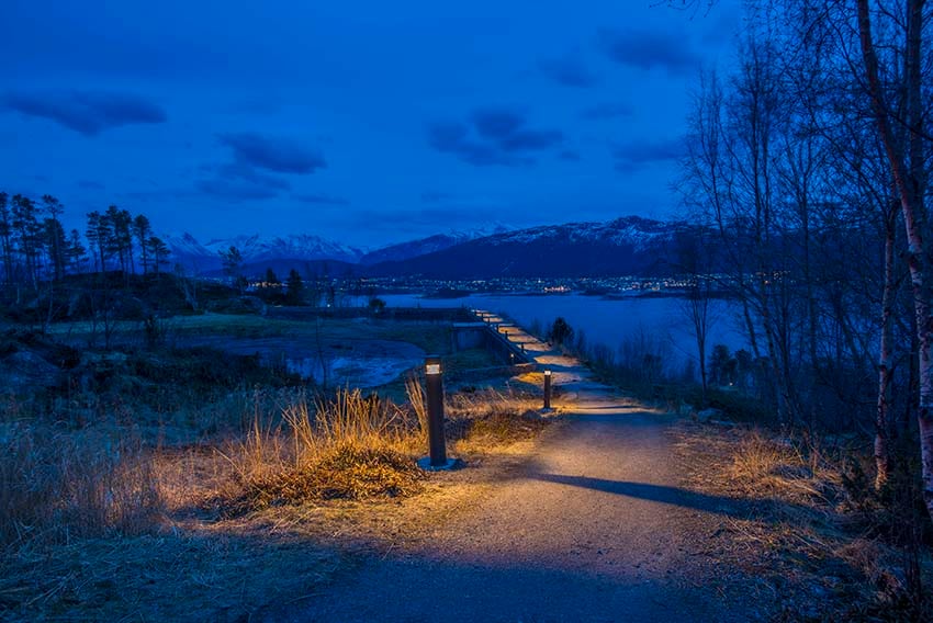 Park and pathway