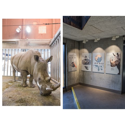 Porten til Savannen 04.jpg