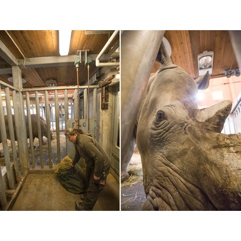 Porten til Savannen 05.jpg