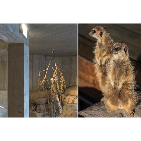 Porten til Savannen 09.jpg