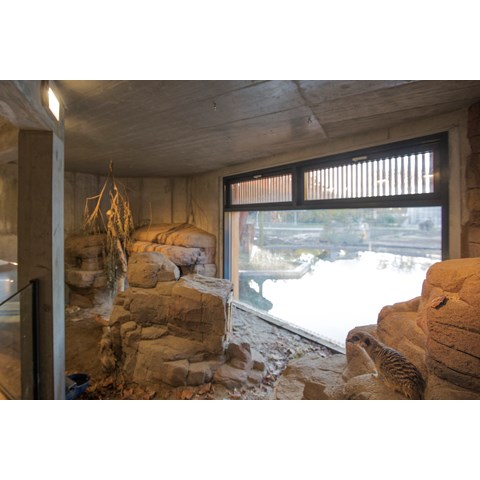 Porten til Savannen 10.jpg